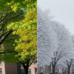 AI Generative Fill Explained: How It’s Changing Photo Editing Forever